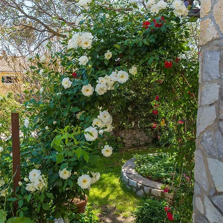 Cozy Studio-apartment Nur 300 Meter Zum Mit Meerblick Und Parkplatz *